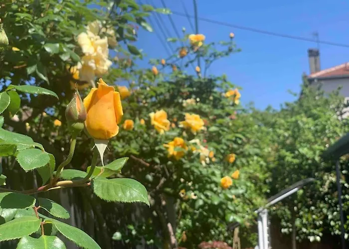 דירה Proche De Centrex Paris נואזי-לה-גראן