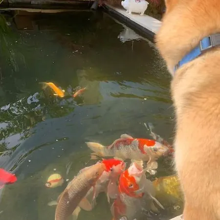 Proche De Centrex Paris * Noisy-le-Grand